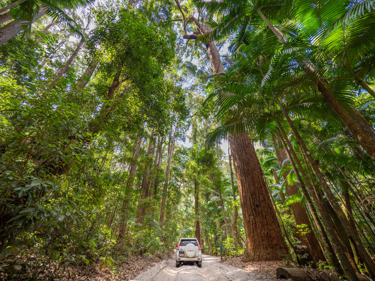 FC_Fraser Island - Pile Val-2 FC_Fraser Island - Pile Val-2019_